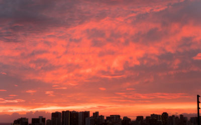 7 Days Later: Edition 2 – Hawaii Sunny Days and Sunsets