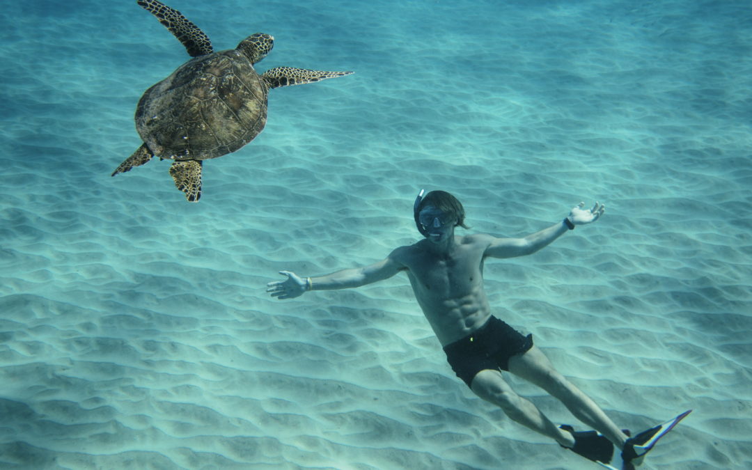 7 Days Later: Edition 3 – I signed up for an Ultra Marathon.