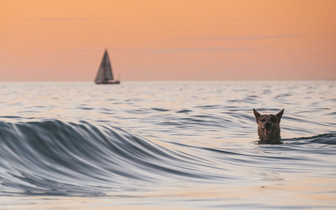 7 Days Later: Edition 7 – Sunsets to Storms