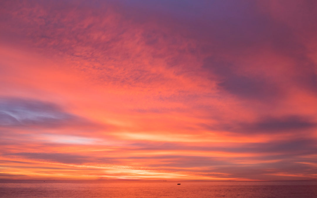 7 Days Later: Edition 10 – Cafe time and book updates.