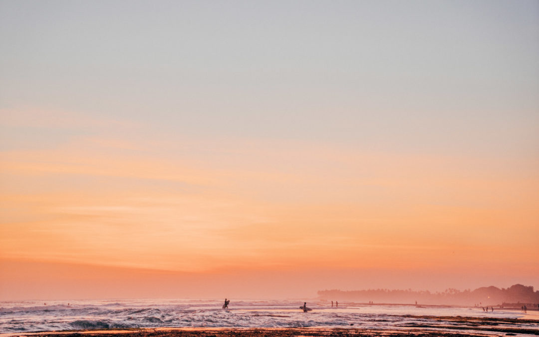 7 Days Later: Edition 14 – Co-working in Canggu, Bali.