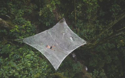 7 Days Later: Edition 16 – Hidden jungle trampolines to Comuna 13.