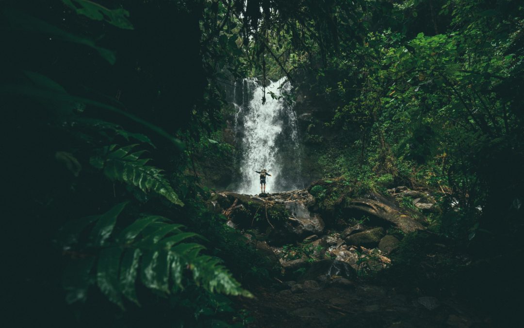7 Days Later: Edition 20 – A Week of Waterfalls.