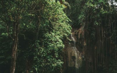 7 Days Later: Edition 38 – Brazil to Philippines