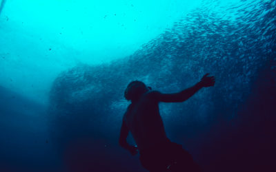 7 Days Later: Edition 39 – Philippines Training Camp