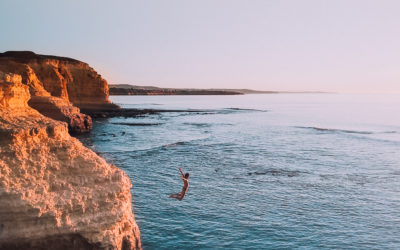 7 Days Later: Edition 44 – Returning to Adelaide.