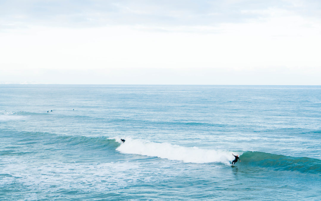 7 Days Later: Edition 46 – Welcome 2019.