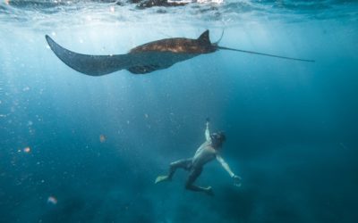 7 Days Later: Edition 45 – 20 things that altered my perspective in 2018.