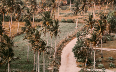 7 Days Later: Edition 66 – The Lombok Block.