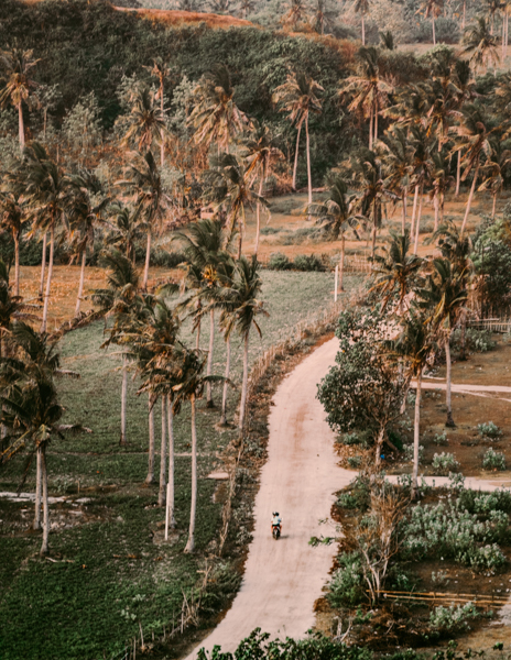 7 Days Later: Edition 66 – The Lombok Block.