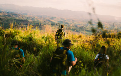 7 Days Later: Edition 79 – Fiji Week One.