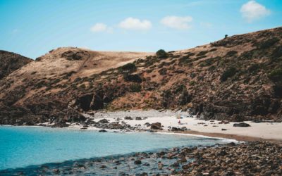 7 Days Later: Edition 90 – It’s been a long week. Infact, 196 Days later.