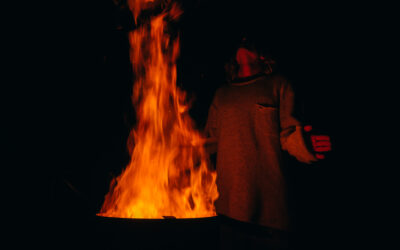 7 Days Later: Edition 94 – Cocoon Phase