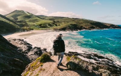 7 DAYS LATER: EDITION 100 – CAMPAIGN WEEK.